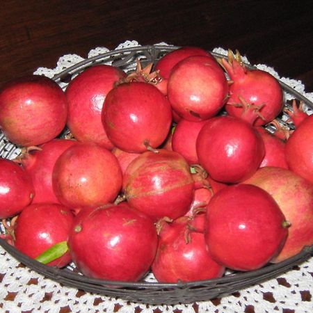 B & B Oasi Rosciano  外观 照片