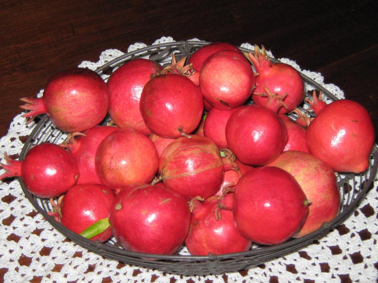 B & B Oasi Rosciano  外观 照片